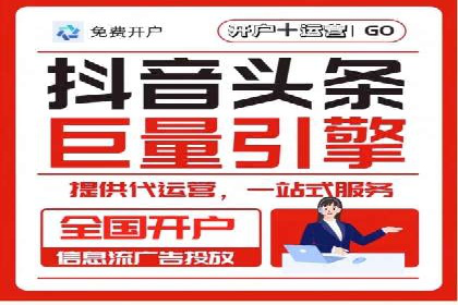 SEO百度推广策略：成功案例解析